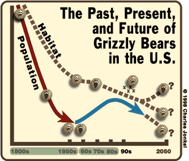 interactive graph of grizzly populations over time