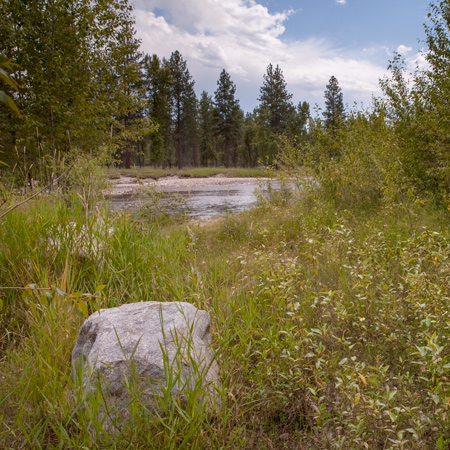 Forest valley bisected by a large river