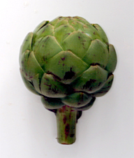 edible artichoke globe